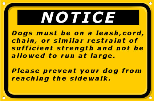 Dog Leash Requirement